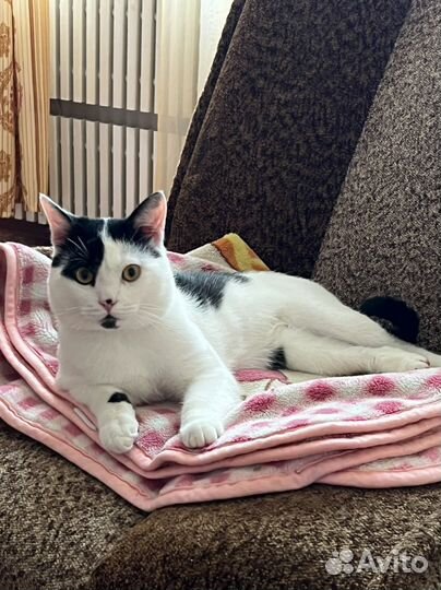 Мальчик красавчик