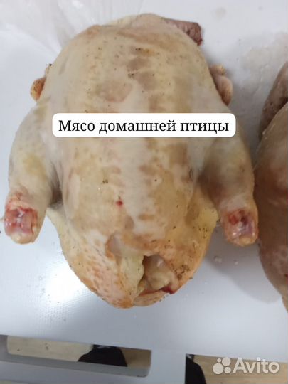 Домашнее мясо перепела,бройлера
