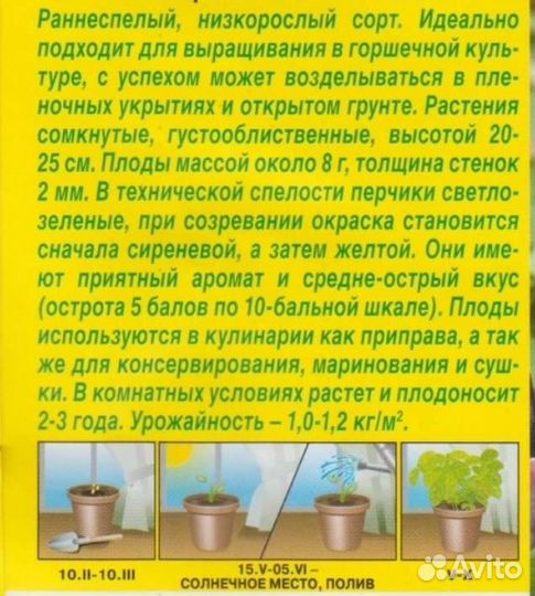 Рассада острого домашнего перца