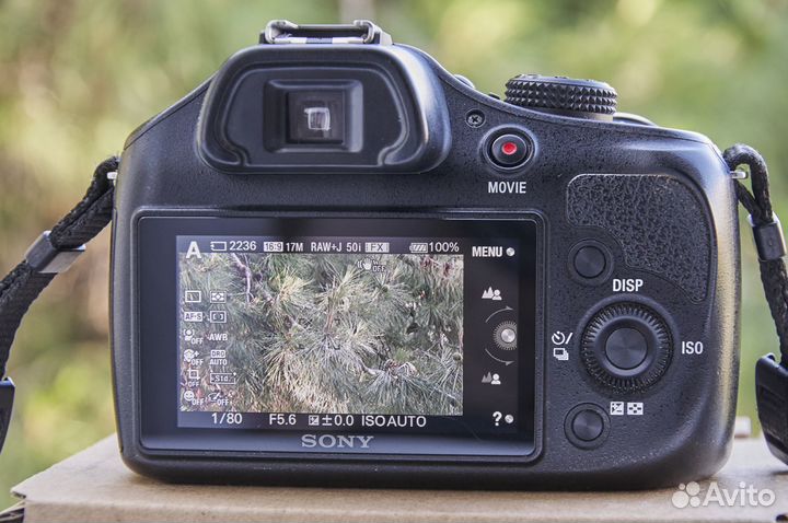 Sony a3500