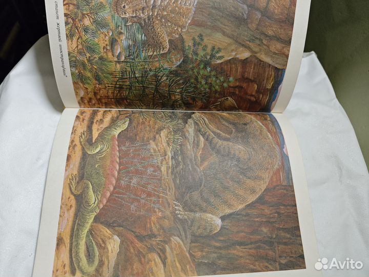 След динозавра Яковлева Ирина Николаевна