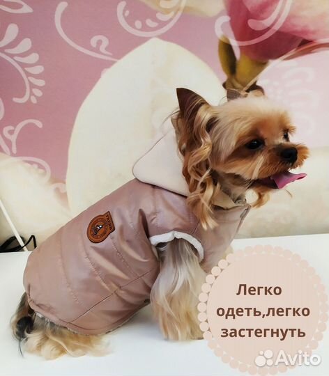 Жилетка для собак