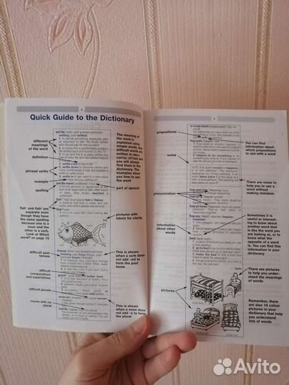 Basic English Dictionary (английский словарь)
