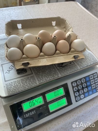 Домашний бройлер, суповые петушки