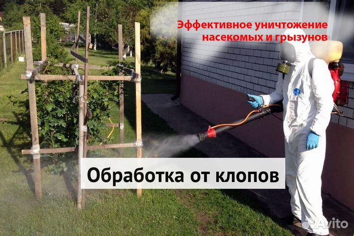 Уничтожение клопов тараканов грызунов плесени