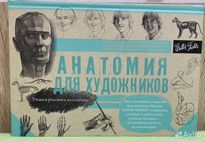 Анатомия для художников