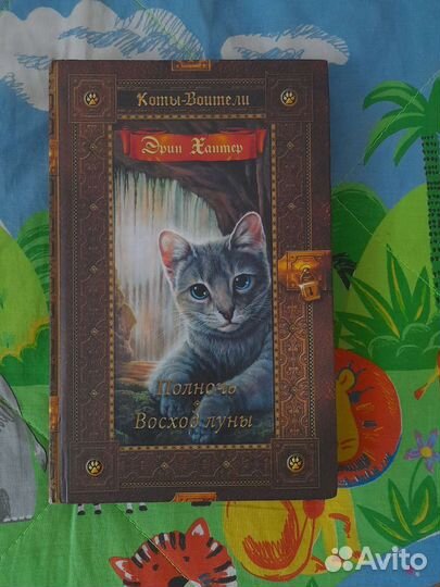 Коты-Водители книги