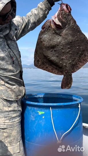 Любительская морская рыбалка в черном море