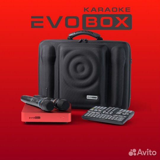 Караоке Evobox Plus рубин