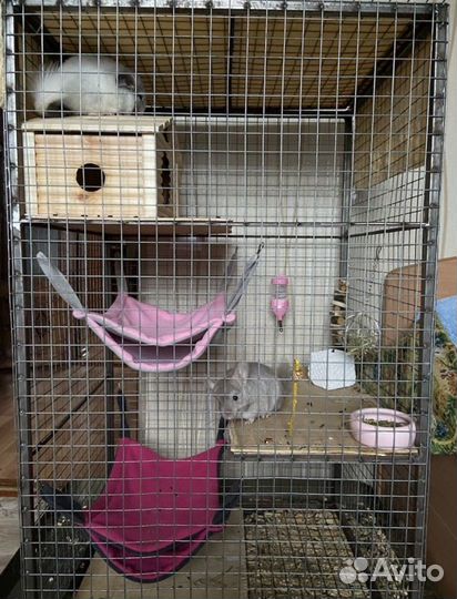 Клетка для шиншил
