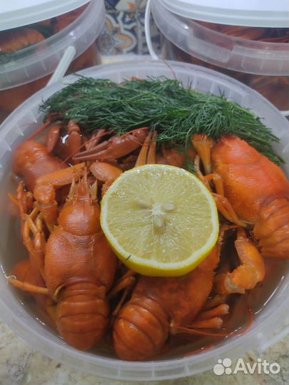 Раки живые и вареные
