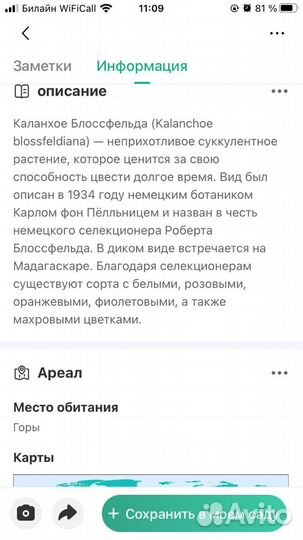 Комнатные растения цветы