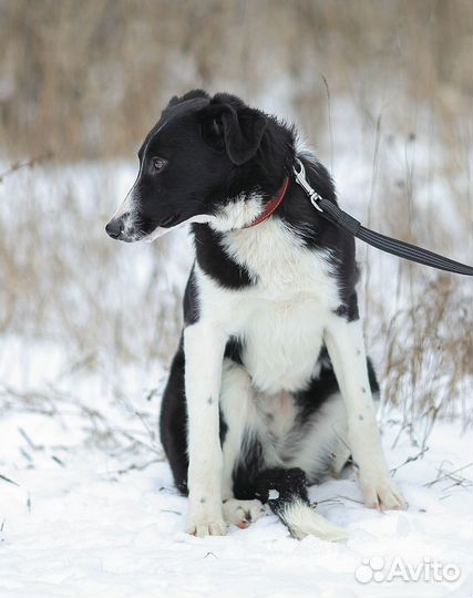 Выросла в приюте. Семья не нашлась