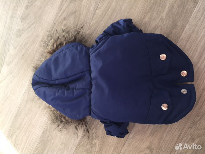 Вещи для маленьких собак