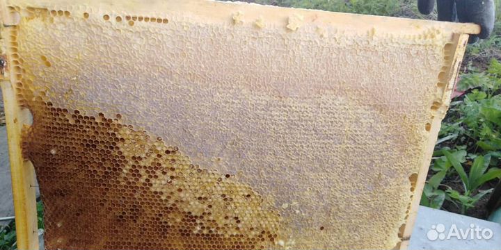 Рамка дадан с медом, 3-4 кг
