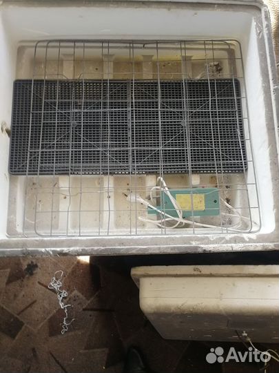 Инкубатор для яиц автоматический