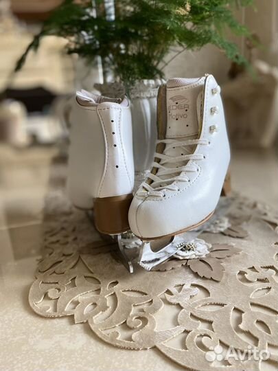 Фигурные коньки edea motivo 210