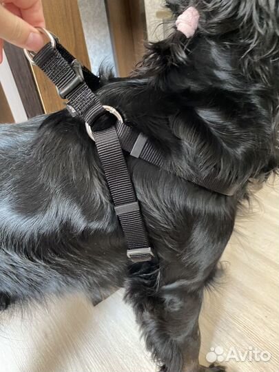 Нейлоновая шлейка Triol