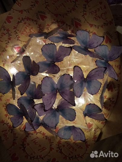 Букет из бабочек