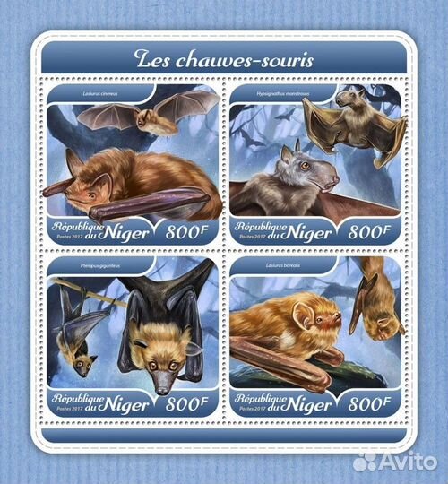 Нигер, 2017. (nig17611) Фауна, летучие мыши (мл+бл