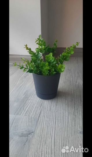 Искусственная трава