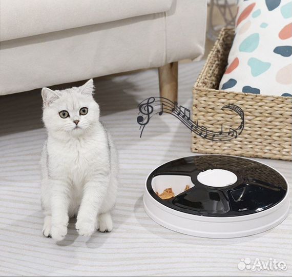 Автокормушка 