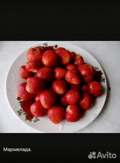 Саженцы виктории