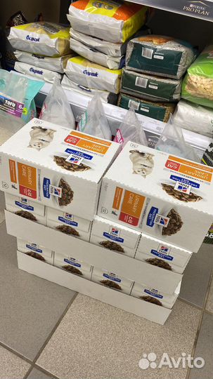 Хиллс c/d stress