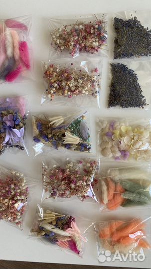 Сухоцветы для творчества