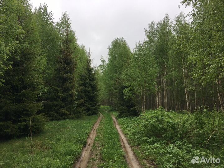 Организатор мероприятий ретритов