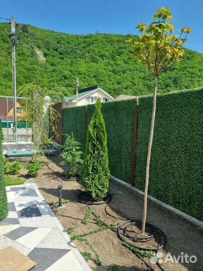 Забор из искусственной травы