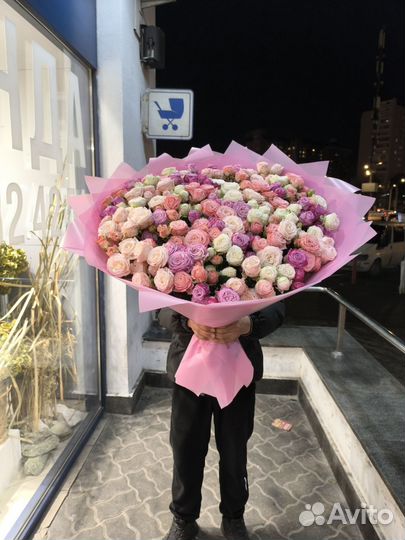 Куставой роза пионавидный