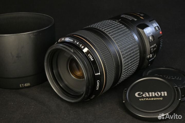 Canon EF 70-300mm 4.0-5.6 IS USM