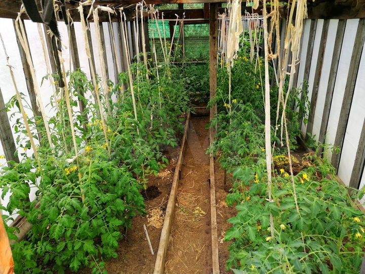 Дача 31 м² на участке 4,6 сот.