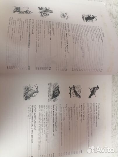 Энциклопедия для детей