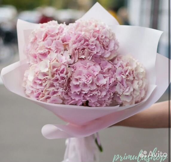 Букет пионов, цветы доставка пионы