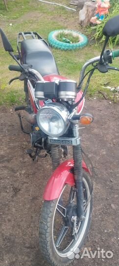 Alpha RX 110 Кубов