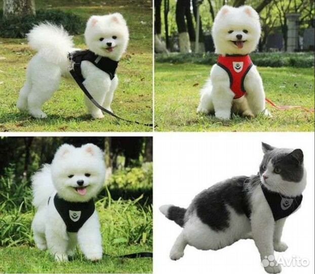 Шлейка новая, размер М, с поводком