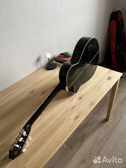 Электроакустика washburn