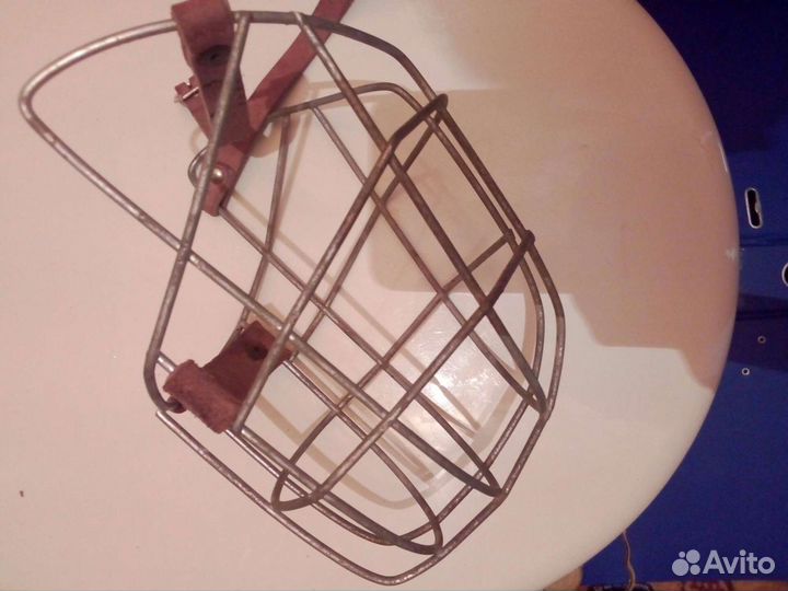 Намордник, цепь для собак