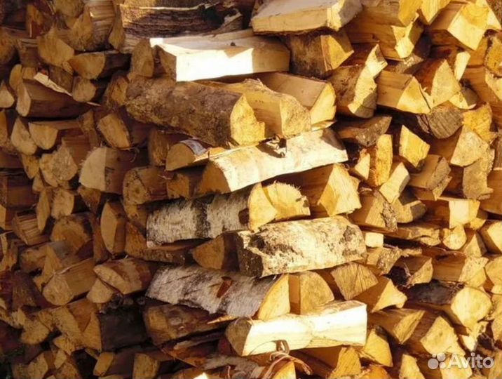 Дрова береза