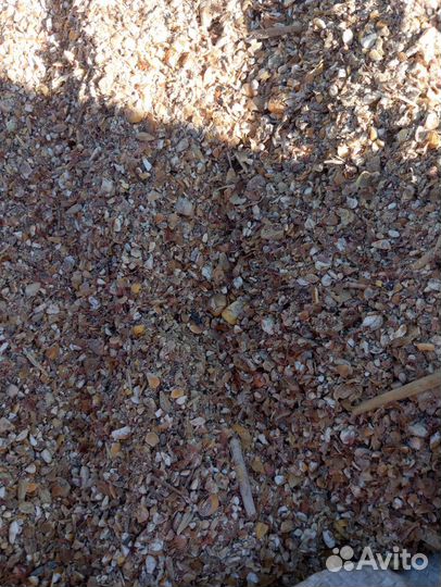 Зерноотход кукурузы