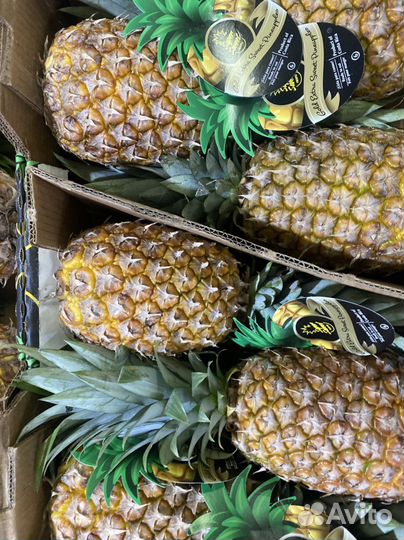 Ананас голд