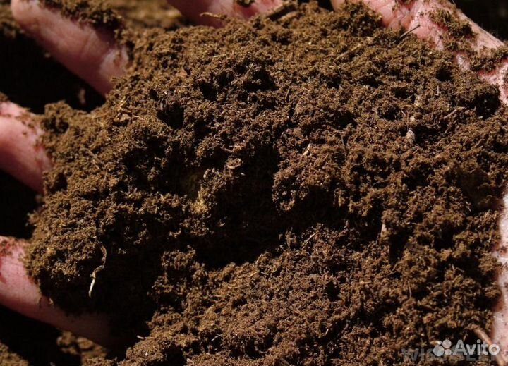 Торф низинный