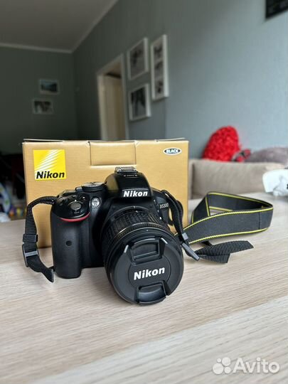 Зеркальный фотоаппарат Nikon D5300