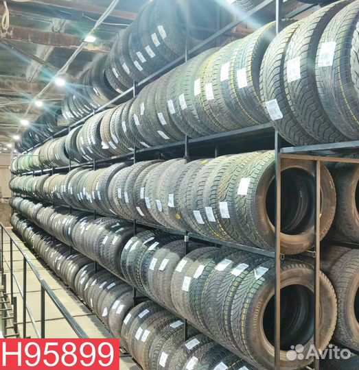 Tigar Winter 1 205/60 R16 96N