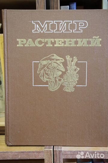 Энциклопедии, словари, справочники