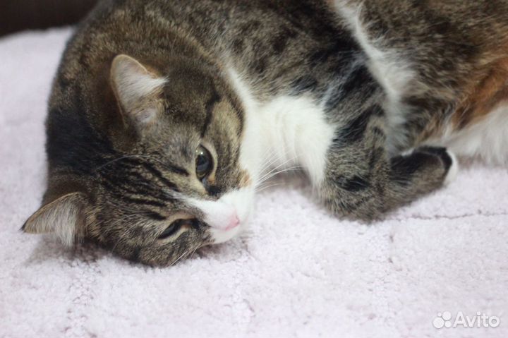 Европейская