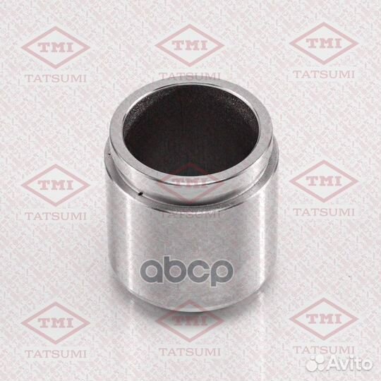 Поршень тормозного суппорта заднего TCG1003 TAT