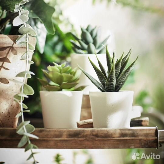 Цветы искусственные икеа фейка. новые